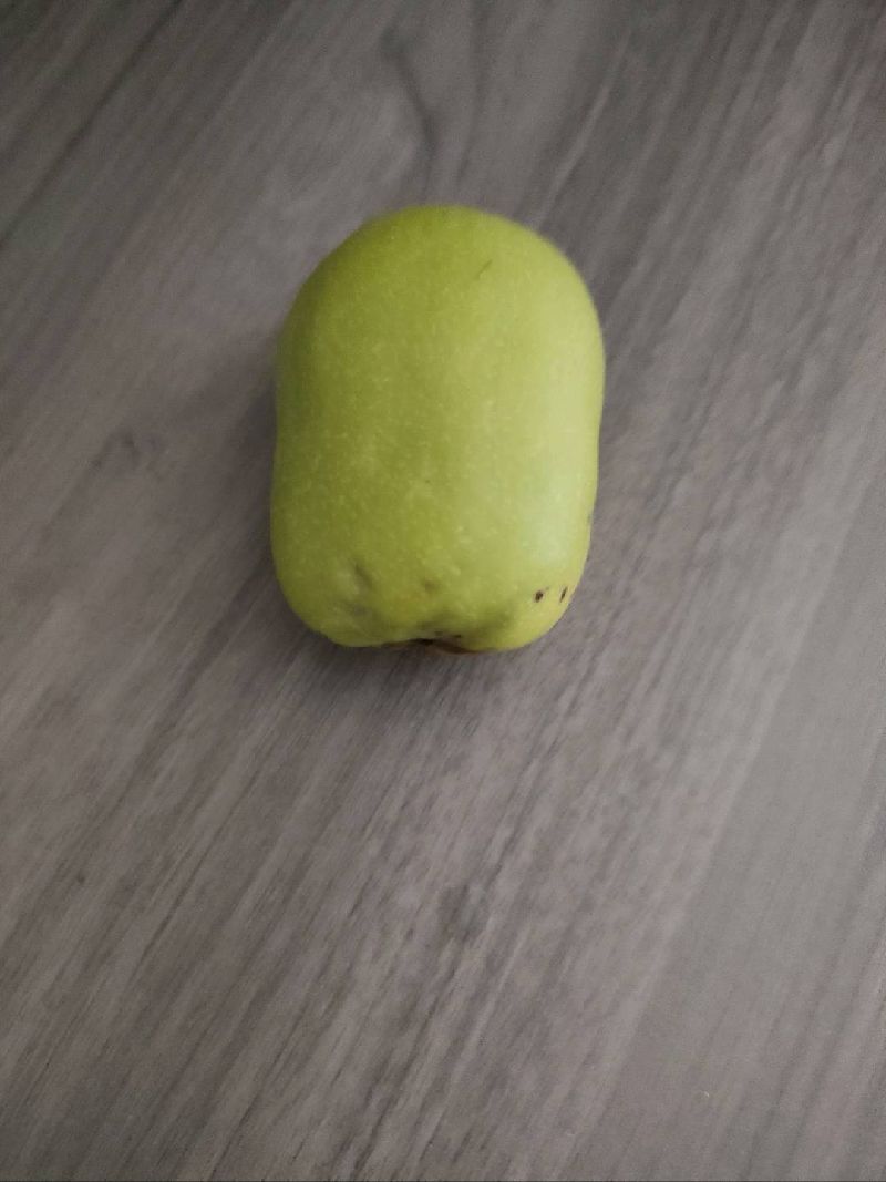 木瓜