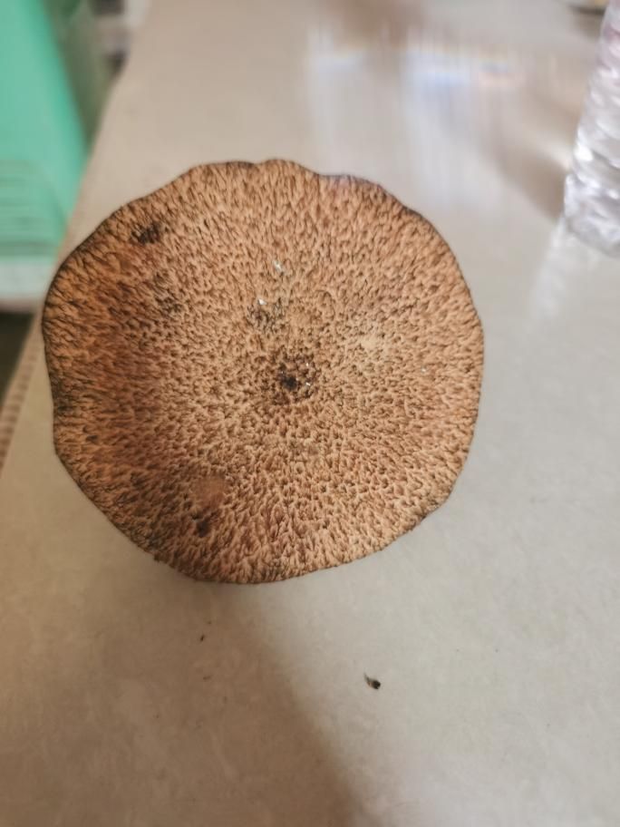 波罗蜜